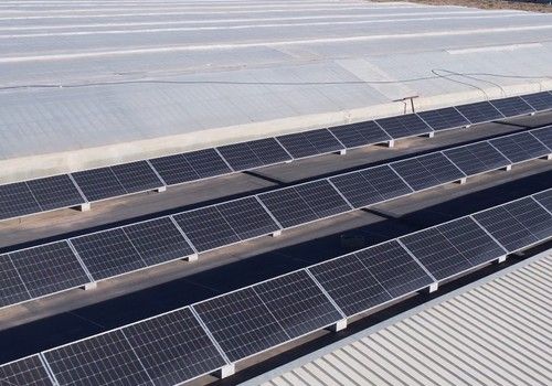 Energía fotovoltaica en invernaderos Rentabilidad de dos dígitos